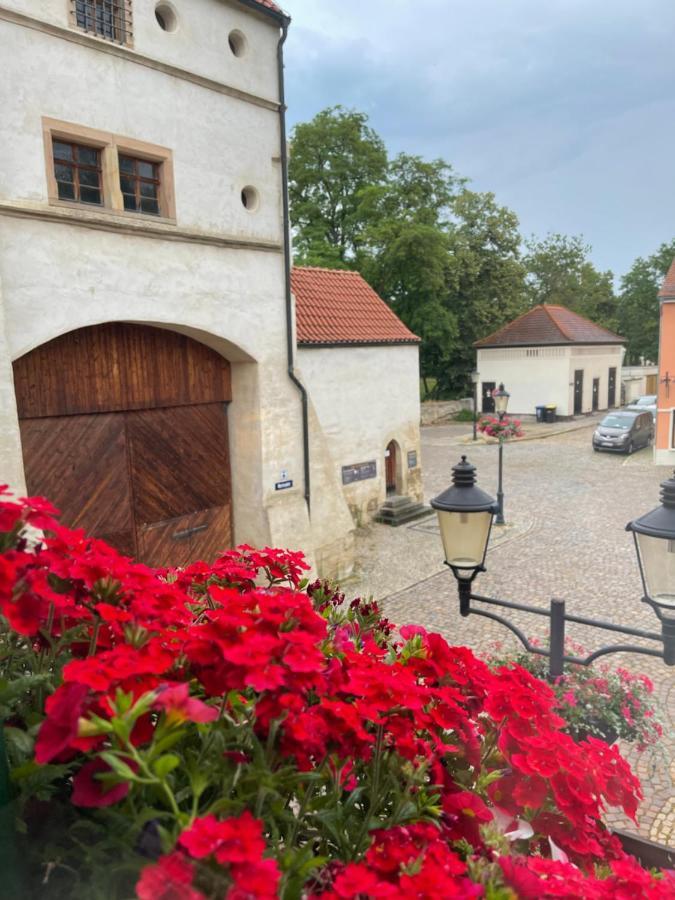 Pension Alt Naumburg Наумбург Екстериор снимка